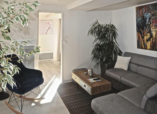 Gite, Location Meuble De Tourisme 3 Etoiles Châtillon-Coligny Eksteriør billede